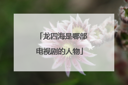 龙四海是哪部电视剧的人物