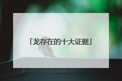 龙存在的十大证据