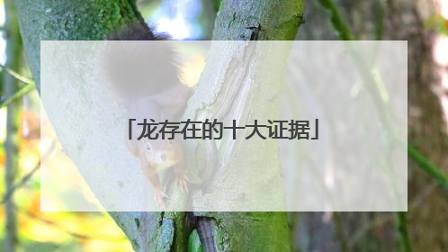 龙存在的十大证据