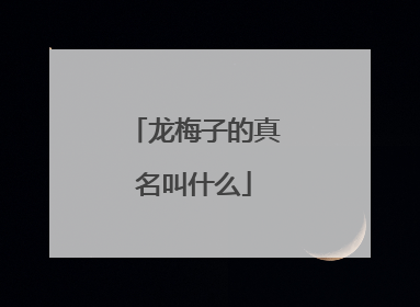 龙梅子的真名叫什么