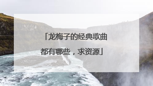 龙梅子的经典歌曲都有哪些,求资源