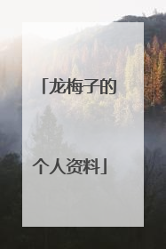龙梅子的个人资料