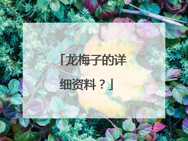 龙梅子的详细资料？