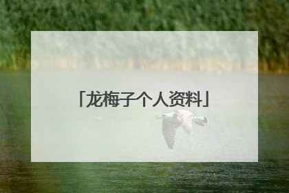 龙梅子个人资料