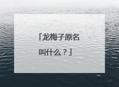 龙梅子原名叫什么？
