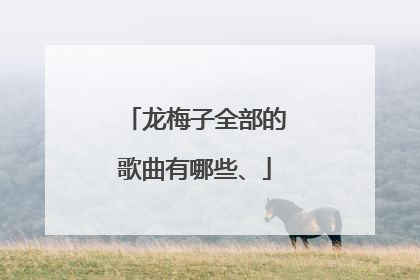 龙梅子全部的歌曲有哪些、