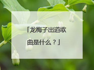 龙梅子出道歌曲是什么？