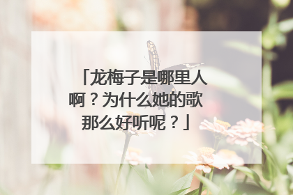 龙梅子是哪里人啊？为什么她的歌那么好听呢？