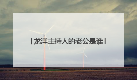 龙洋主持人的老公是谁