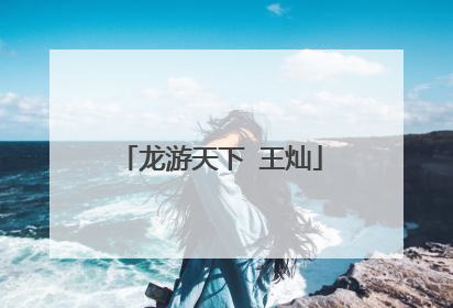 龙游天下 王灿