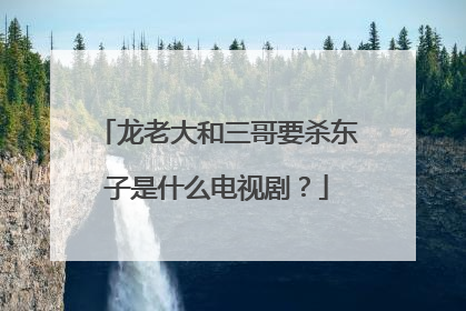 龙老大和三哥要杀东子是什么电视剧？