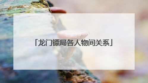 龙门镖局各人物间关系