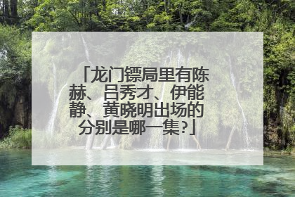 龙门镖局里有陈赫、吕秀才、伊能静、黄晓明出场的分别是哪一集?