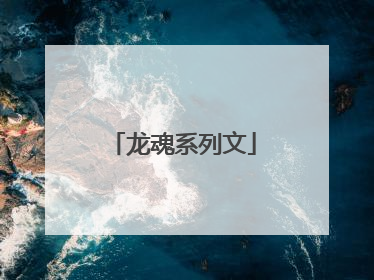 龙魂系列文