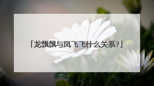 龙飘飘与凤飞飞什么关系?