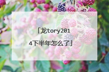 龙tory2014下半年怎么了