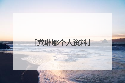 龚琳娜个人资料