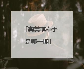 龚美琪牵手是哪一期