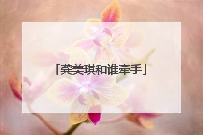 龚美琪和谁牵手