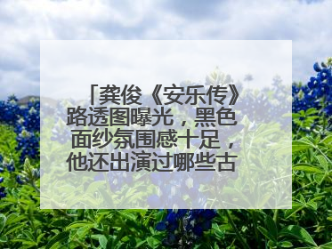 龚俊《安乐传》路透图曝光,黑色面纱氛围感十足,他还出演过哪些古装剧?