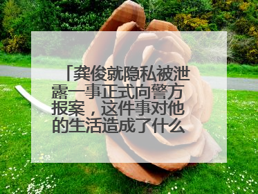 龚俊就隐私被泄露一事正式向警方报案，这件事对他的生活造成了什么影响？