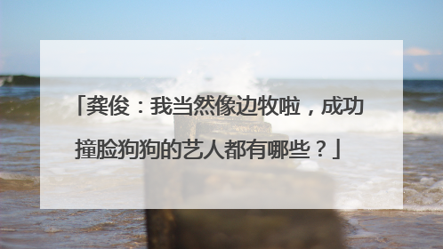 龚俊：我当然像边牧啦，成功撞脸狗狗的艺人都有哪些？