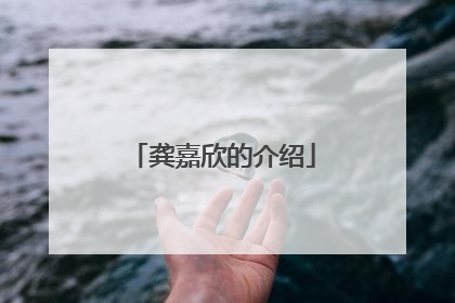 龚嘉欣的介绍