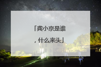 龚小京是谁,什么来头