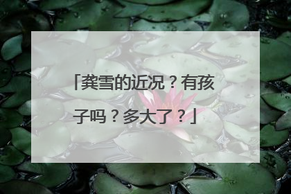 龚雪的近况？有孩子吗？多大了？