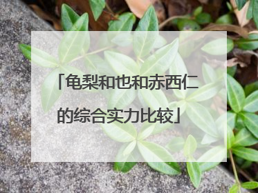 龟梨和也和赤西仁的综合实力比较