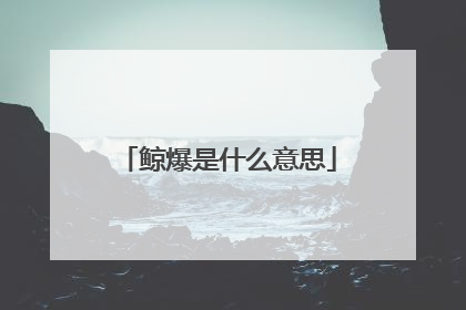 鲸爆是什么意思