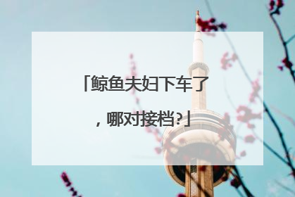 鲸鱼夫妇下车了，哪对接档?