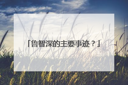 鲁智深的主要事迹？