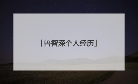 鲁智深个人经历