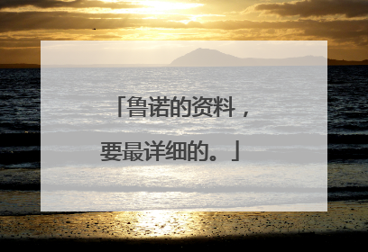 鲁诺的资料,要最详细的。