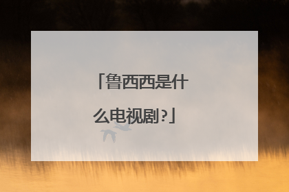 鲁西西是什么电视剧?