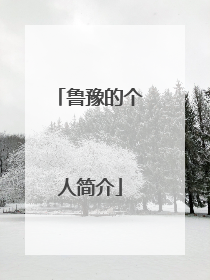 鲁豫的个人简介