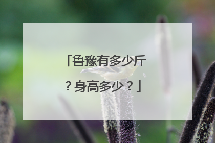 鲁豫有多少斤?身高多少?