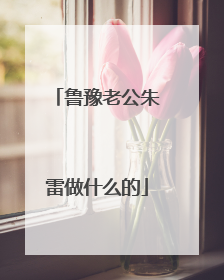 鲁豫老公朱雷做什么的