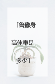 鲁豫身高体重是多少