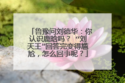 鲁豫问刘德华：你认识鹿晗吗？ “刘天王”回答完变得尴尬，怎么回事呢？