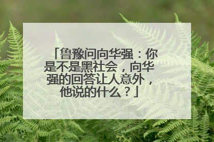 鲁豫问向华强：你是不是黑社会，向华强的回答让人意外，他说的什么？