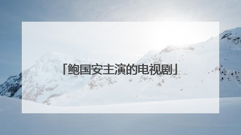 鲍国安主演的电视剧