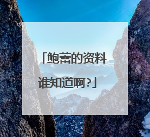 鲍蕾的资料谁知道啊?