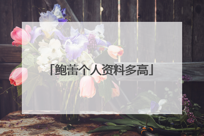 鲍蕾个人资料多高