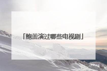 鲍蕾演过哪些电视剧