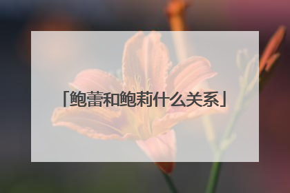 鲍蕾和鲍莉什么关系