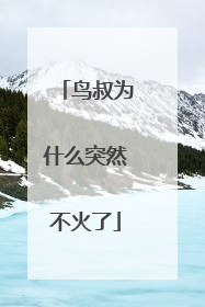 鸟叔为什么突然不火了