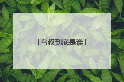 鸟叔到底是谁