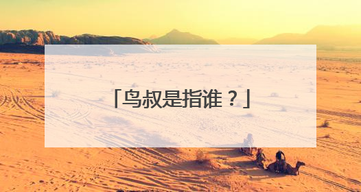 鸟叔是指谁？